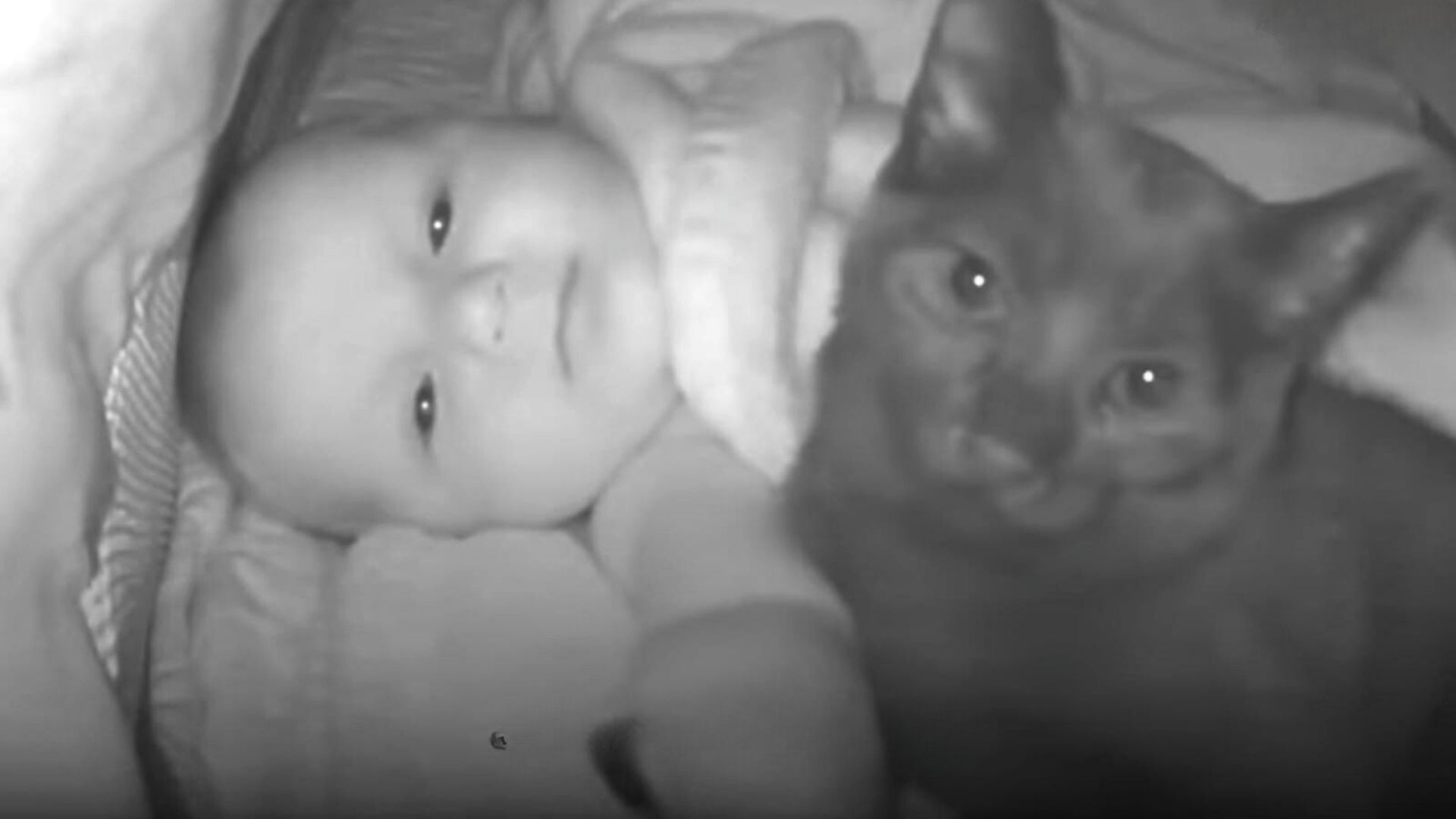 baby and cat in a crib