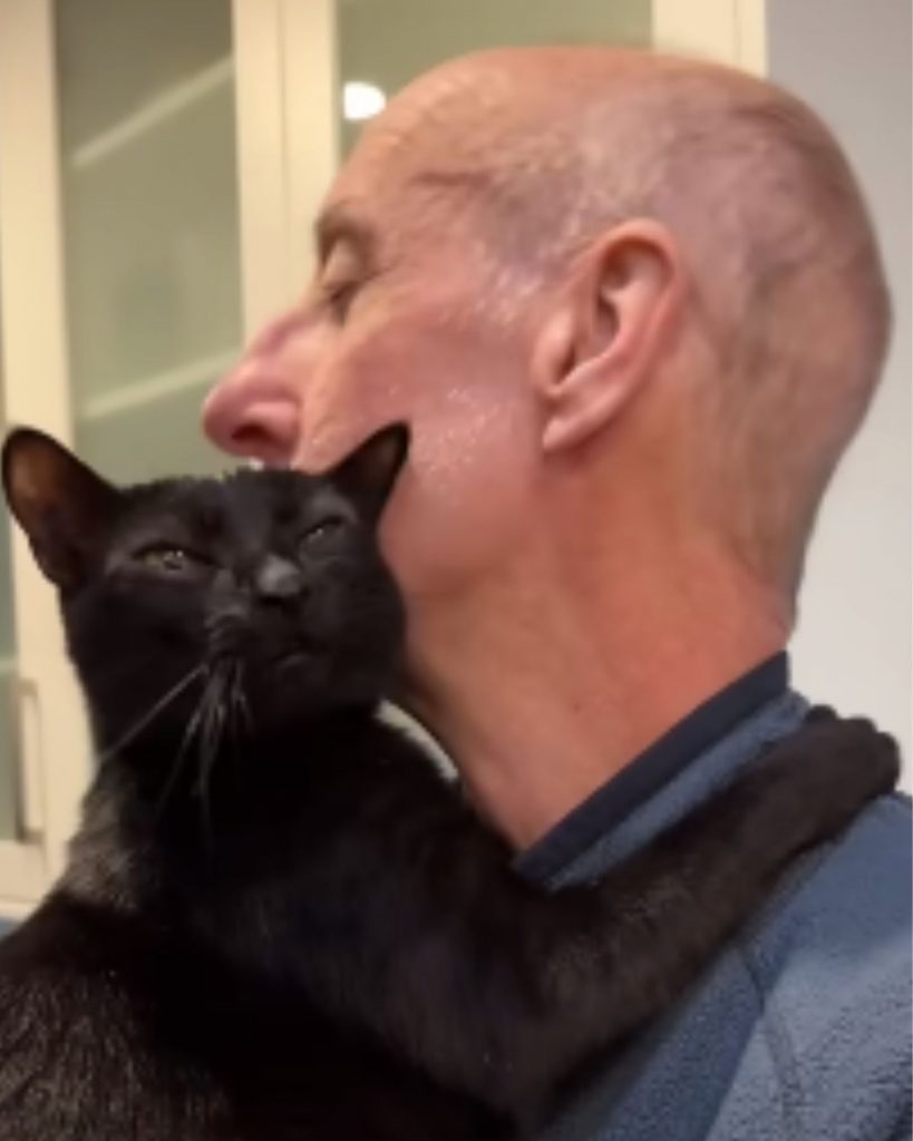 a black cat cuddles with a man