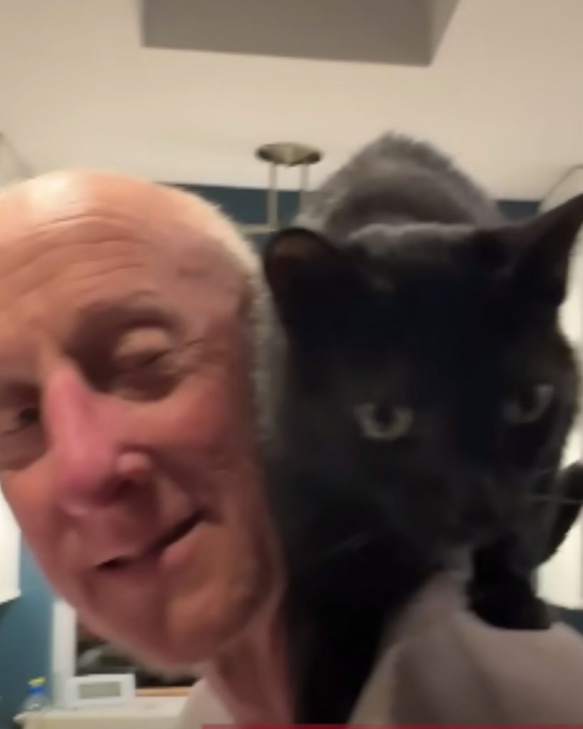 a cat on a man's shoulder