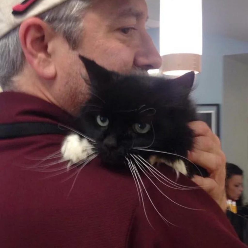 a man holds a black cat on his shoulder