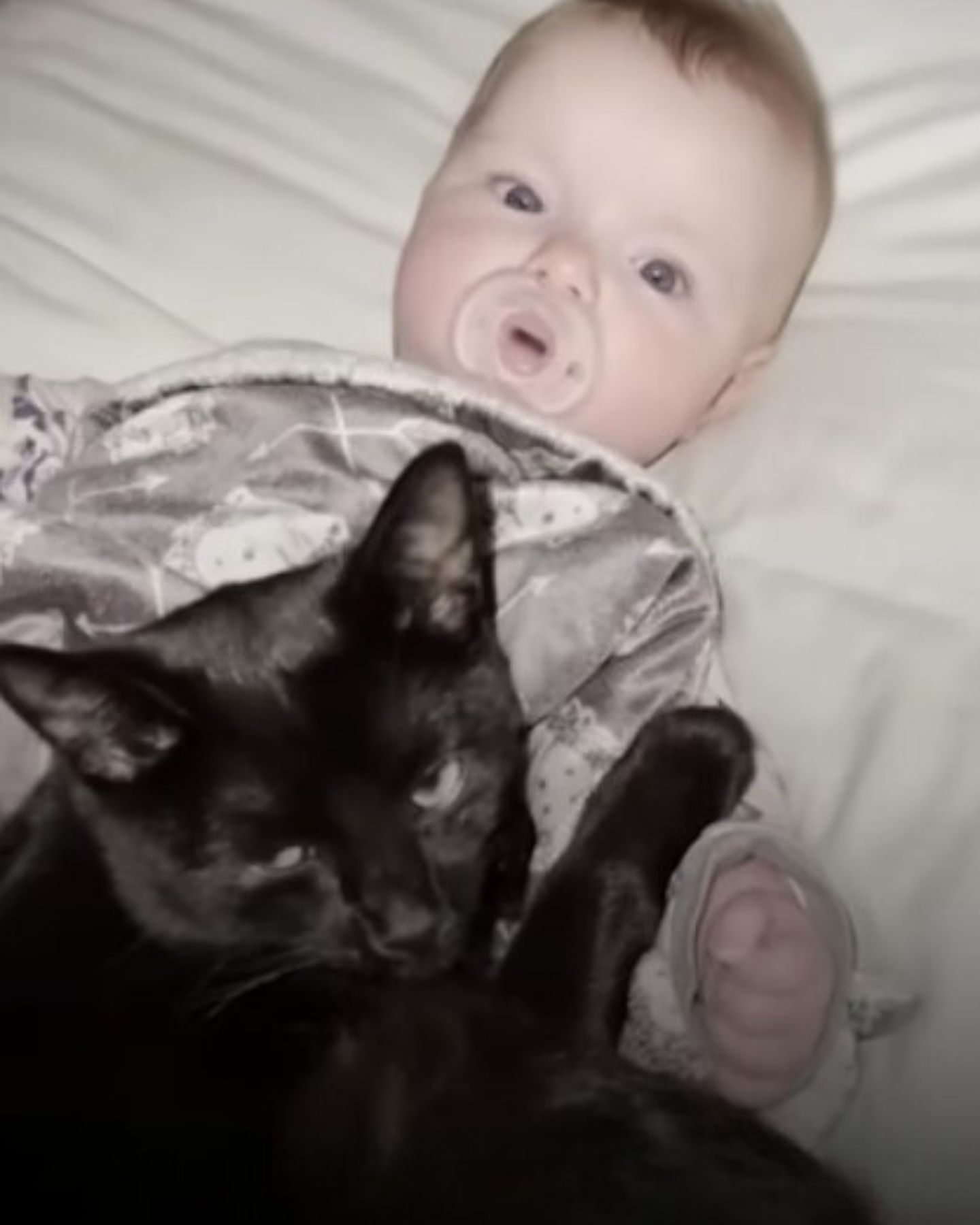 baby and a cat