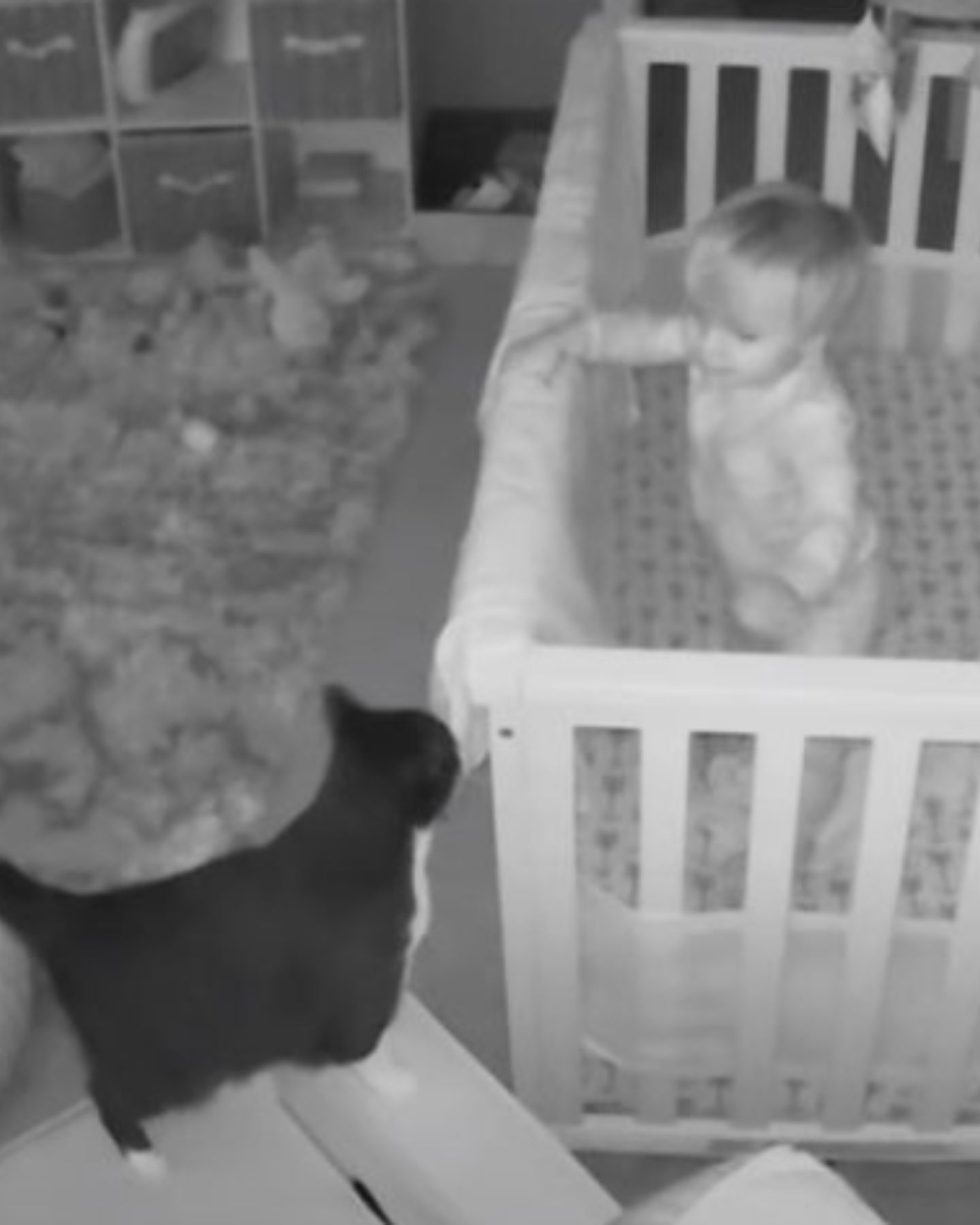 baby and cat at night