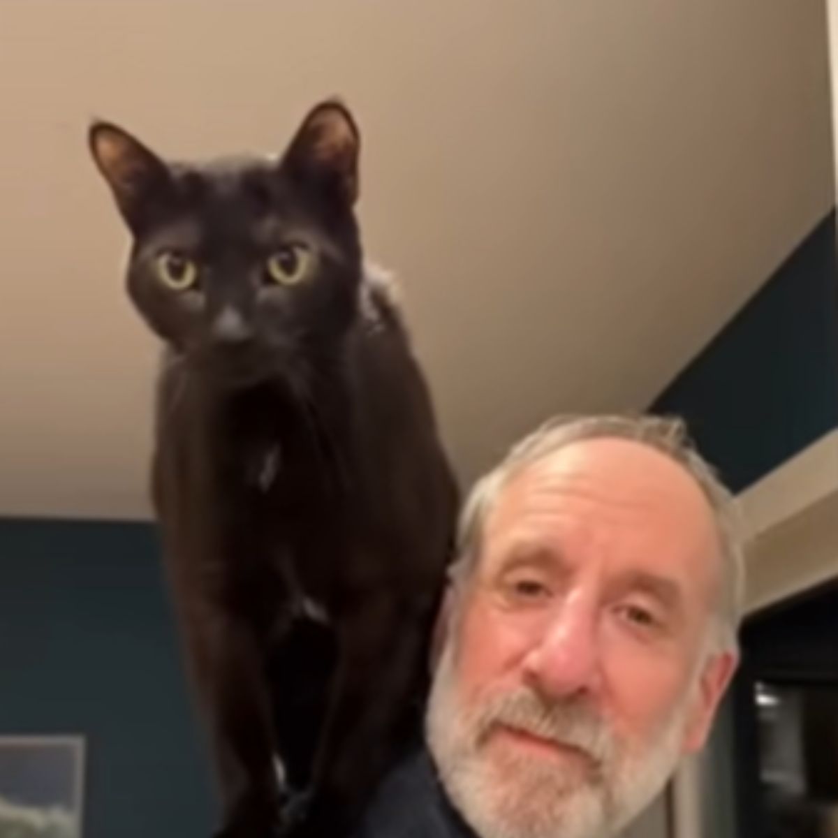 black cat and a man