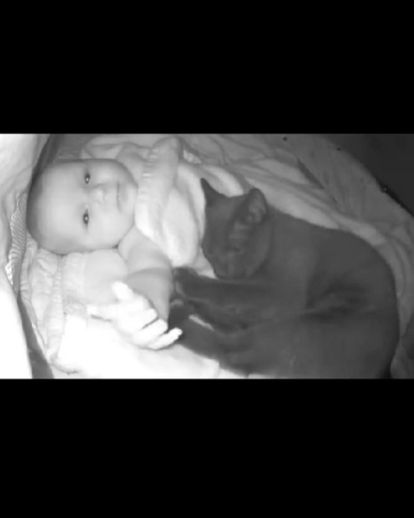 black cat in babys crib