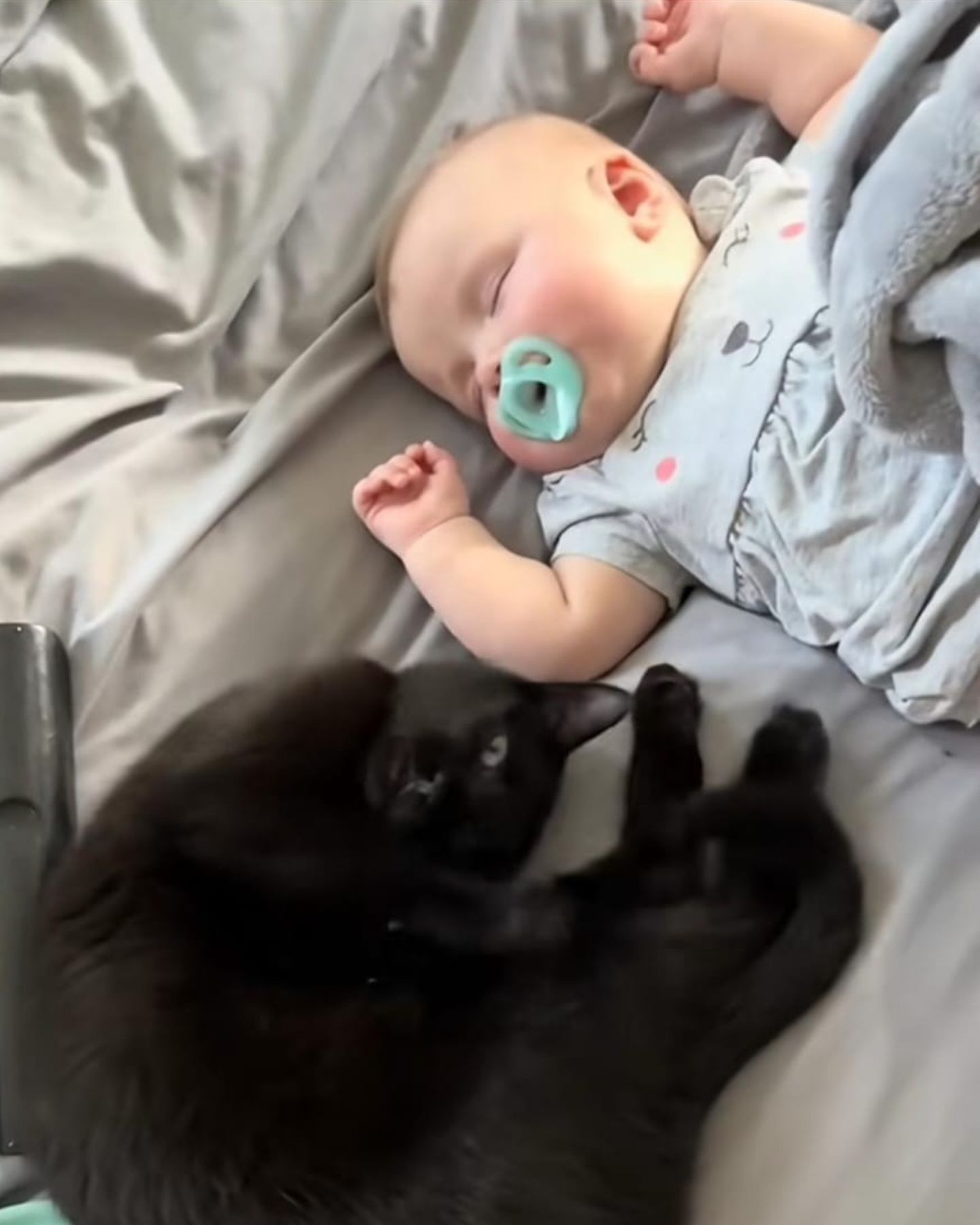 cat lying next to a sleeping baby