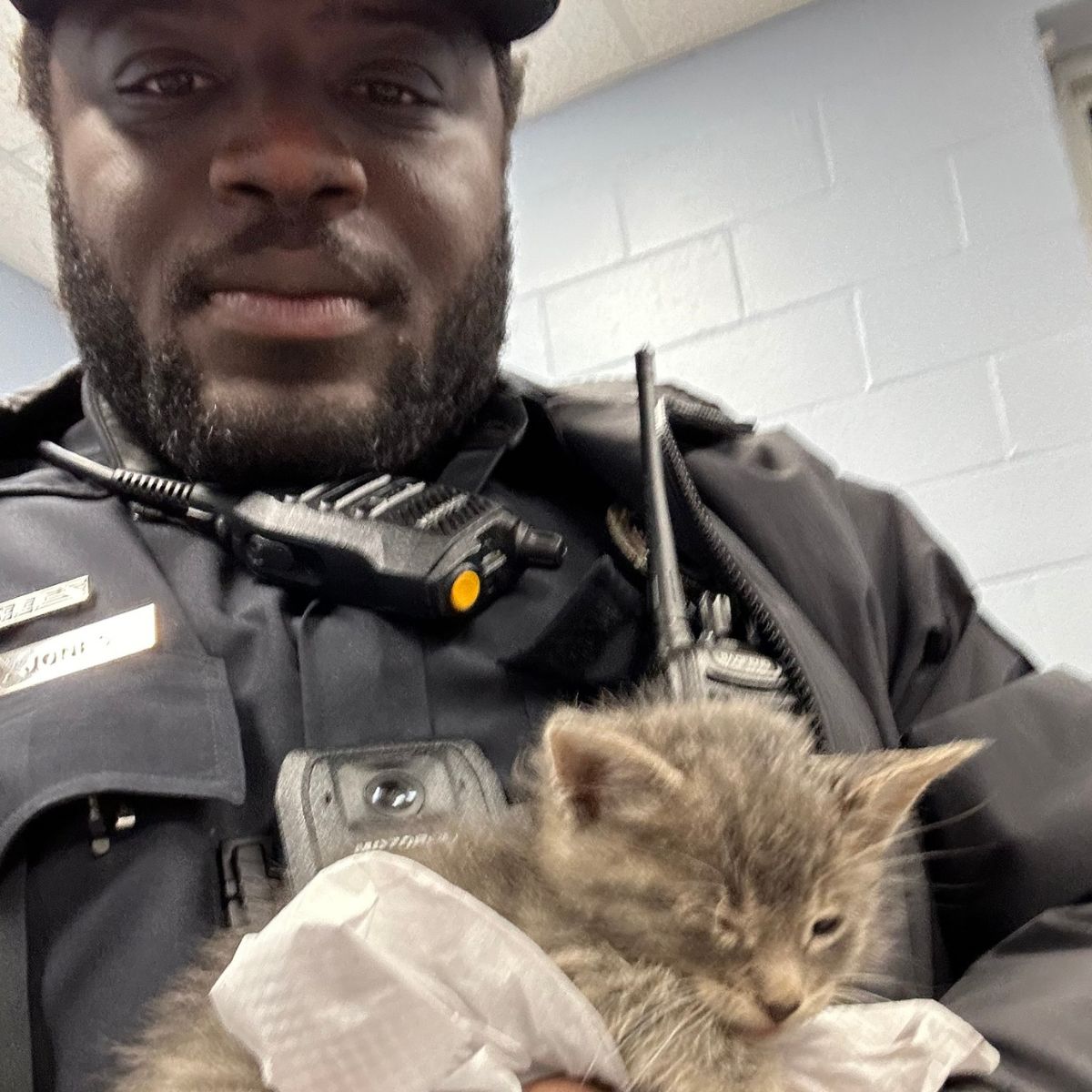 police officer with kitten