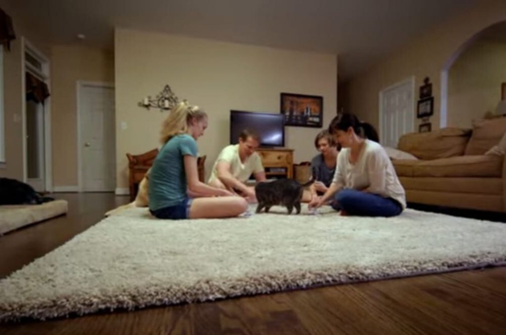 the family is sitting on the floor and playing with the cat