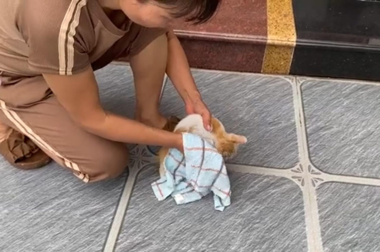 woman cleaning up the cat