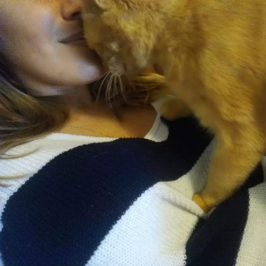 woman kissing her cat