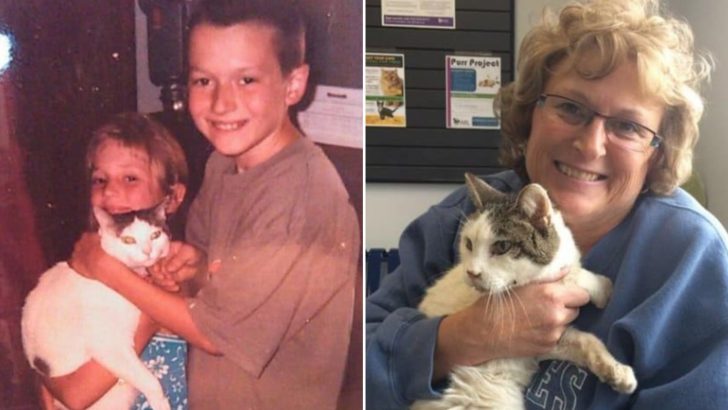 After 14 Years Of Being Separated, Cat Reunites With His Family For One Reason Only