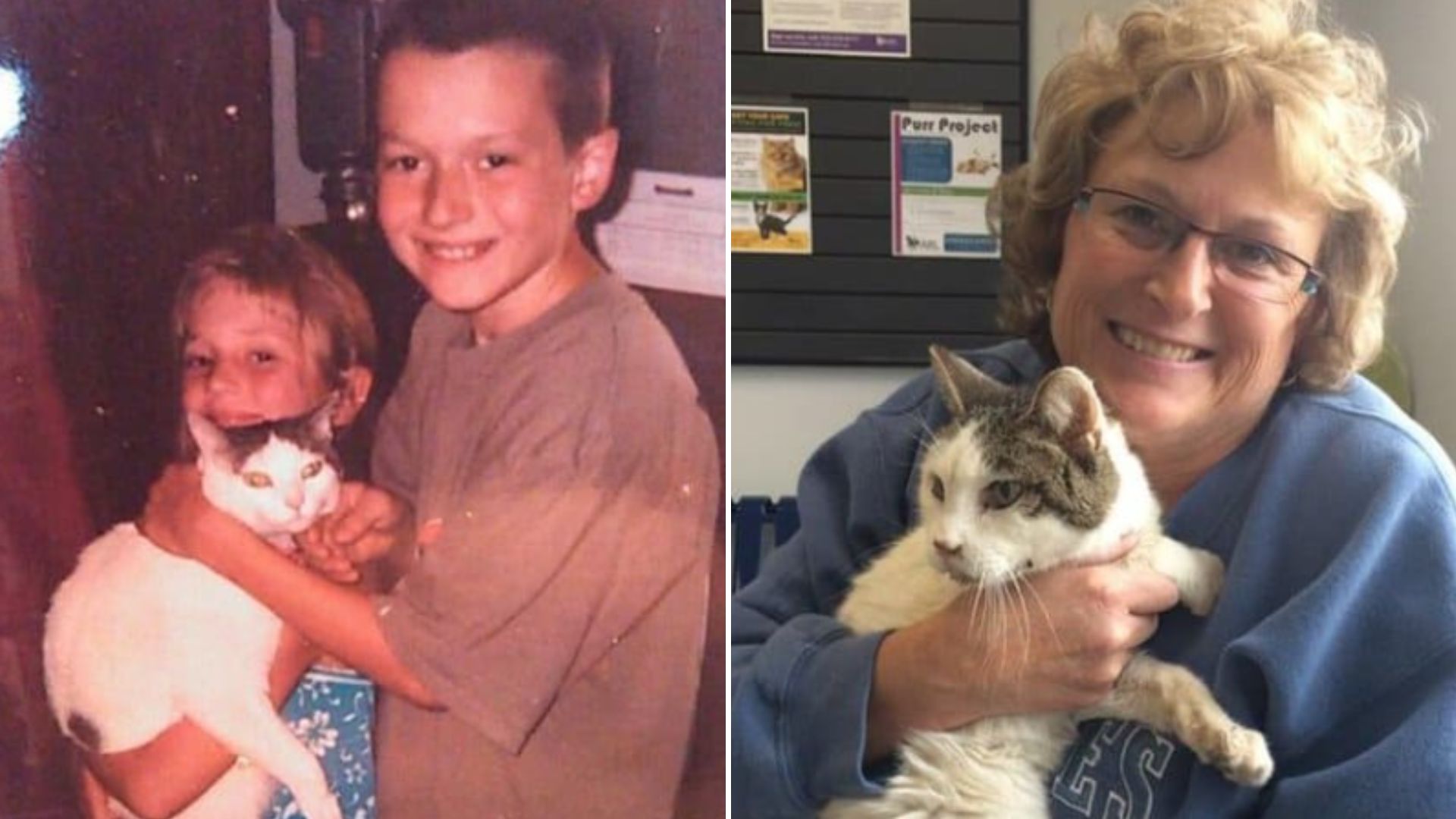 missing cat reunited with family