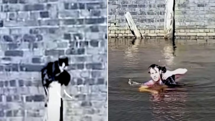 Heroic Man Jumps Into The Canal To Rescue A Helpless Cat Stuck On A Pole