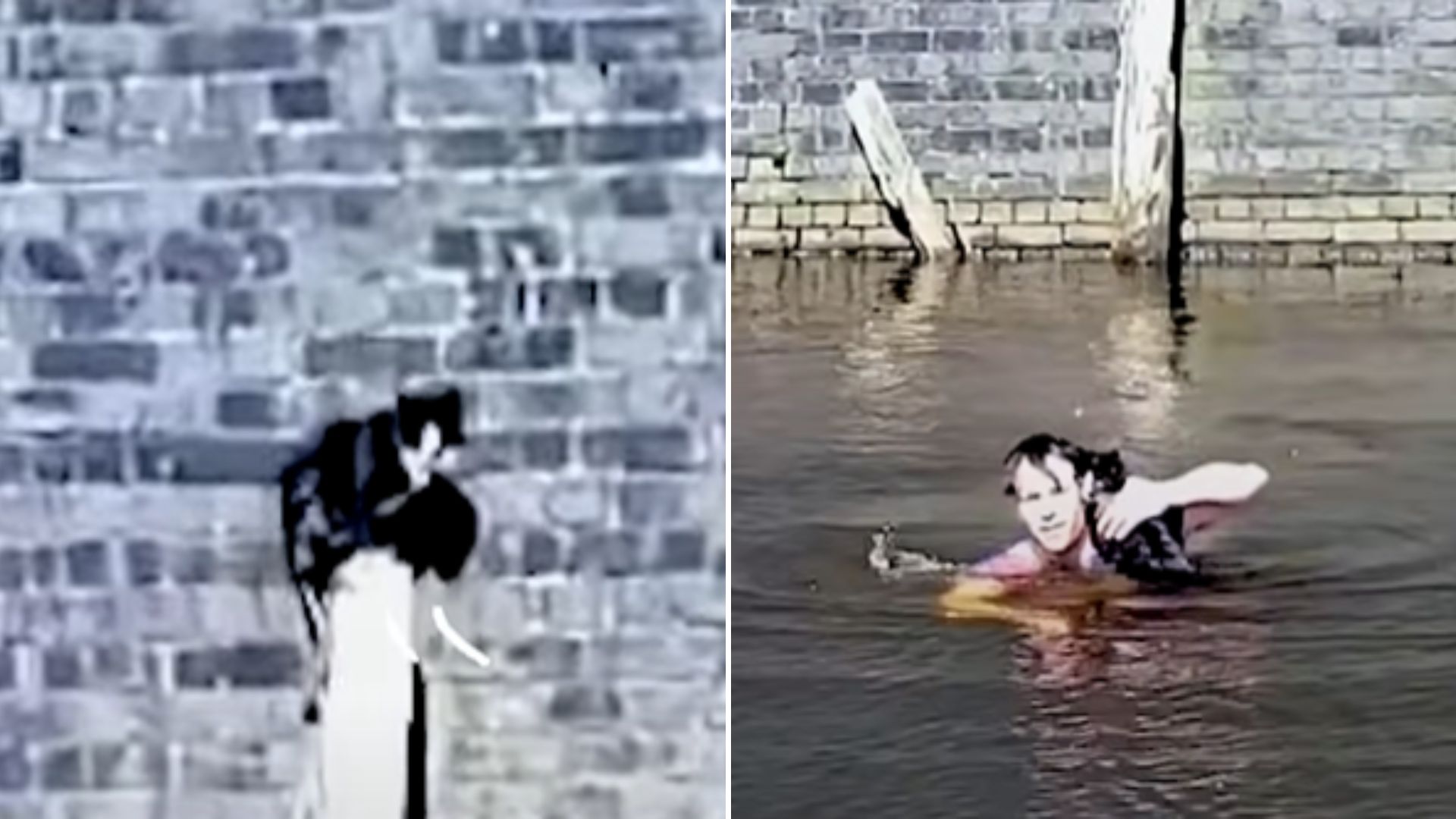 brave man helping cat stuck in a canal