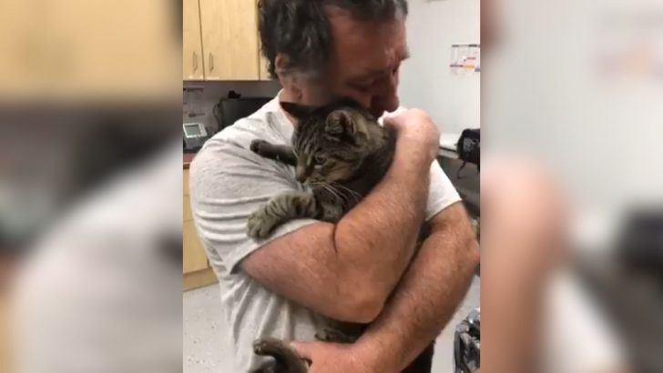 California Man Breaks Down In Tears As His Missing Cat Is Found After Seven Long Years