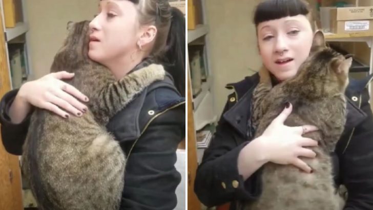 Couple Goes To See Adoptable Cats And One Cat Clings Onto The Woman Refusing To Let Go