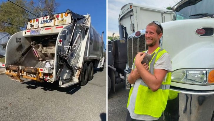 Kitten Stuck In Trash Compactor Faces Disaster But Hero Worker Saves The Day