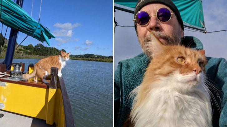 Maine Coon And Her Deaf Dad Share Sailing Adventures With A Heartwarming Twist