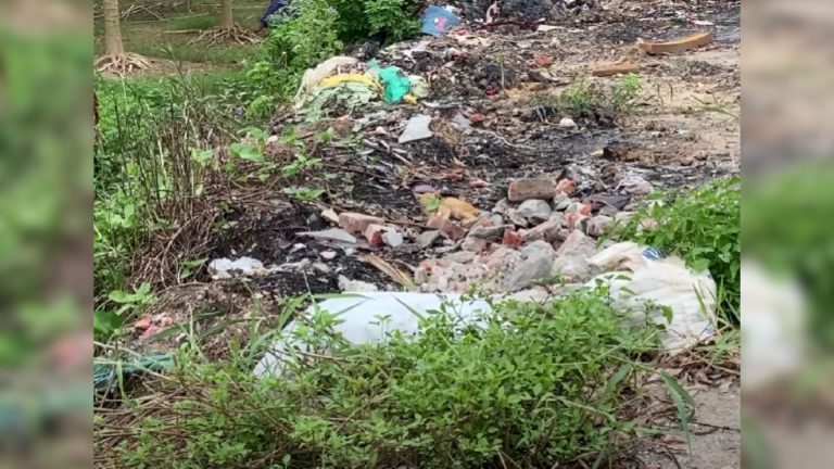 kitten in landfill