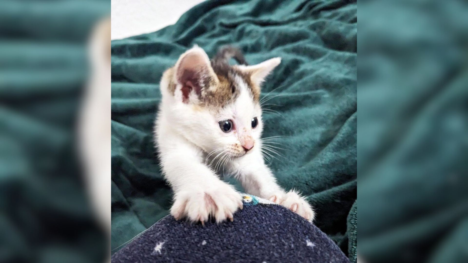 Passenger Heartbroken After Finding A Tiny Baby Abandoned On A California Metro Train