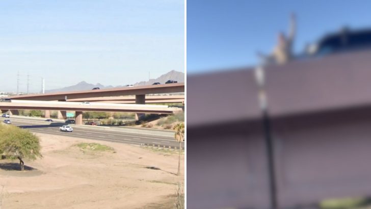 Police Think There’s A Jumper On An Overpass In Tempe But They Are So Wrong