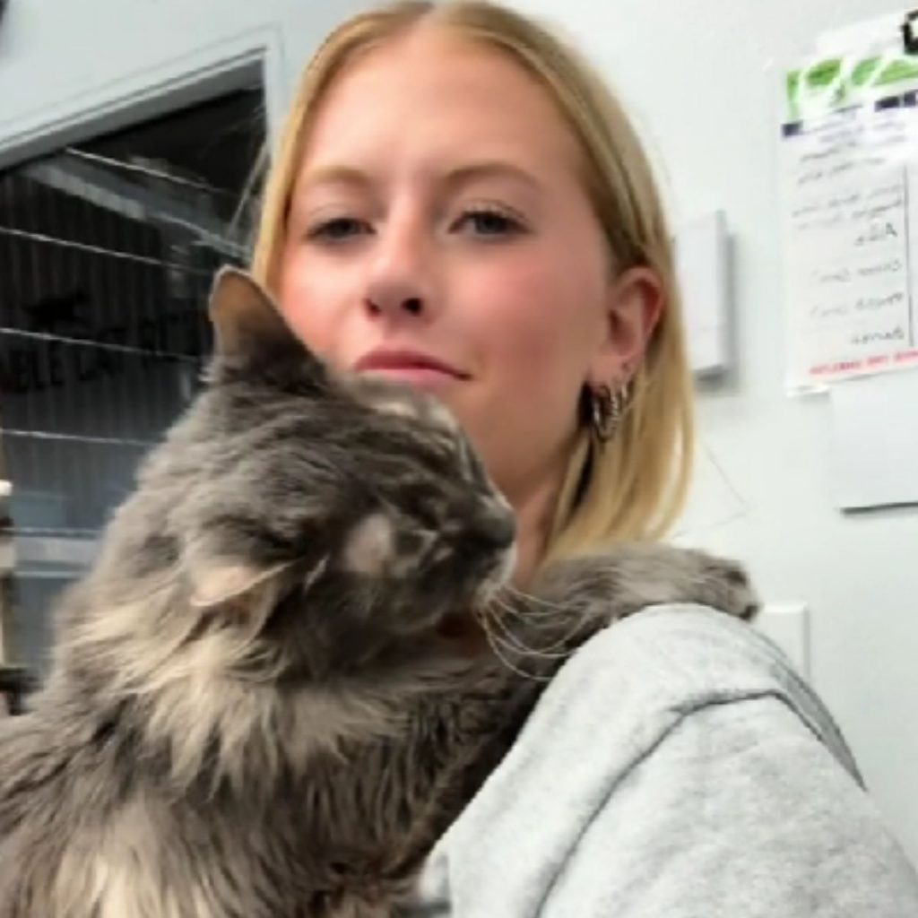 a girl with blond hair is holding a cat in her arms