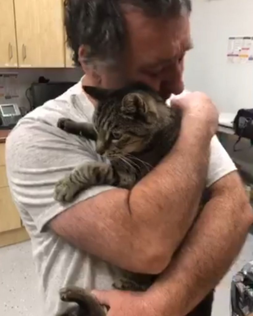 a man holds a cat in his arms