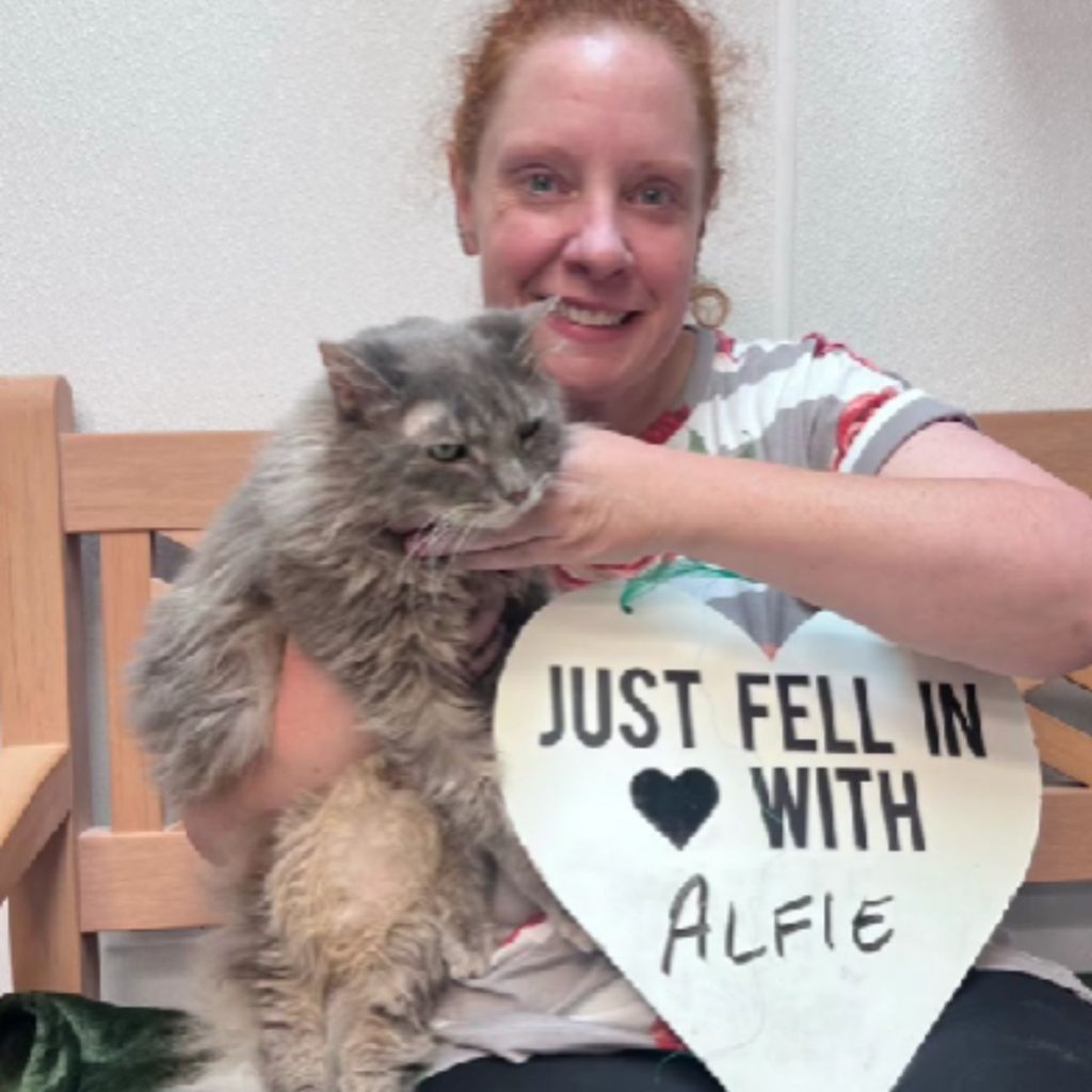 a smiling woman poses with a cat in her arms