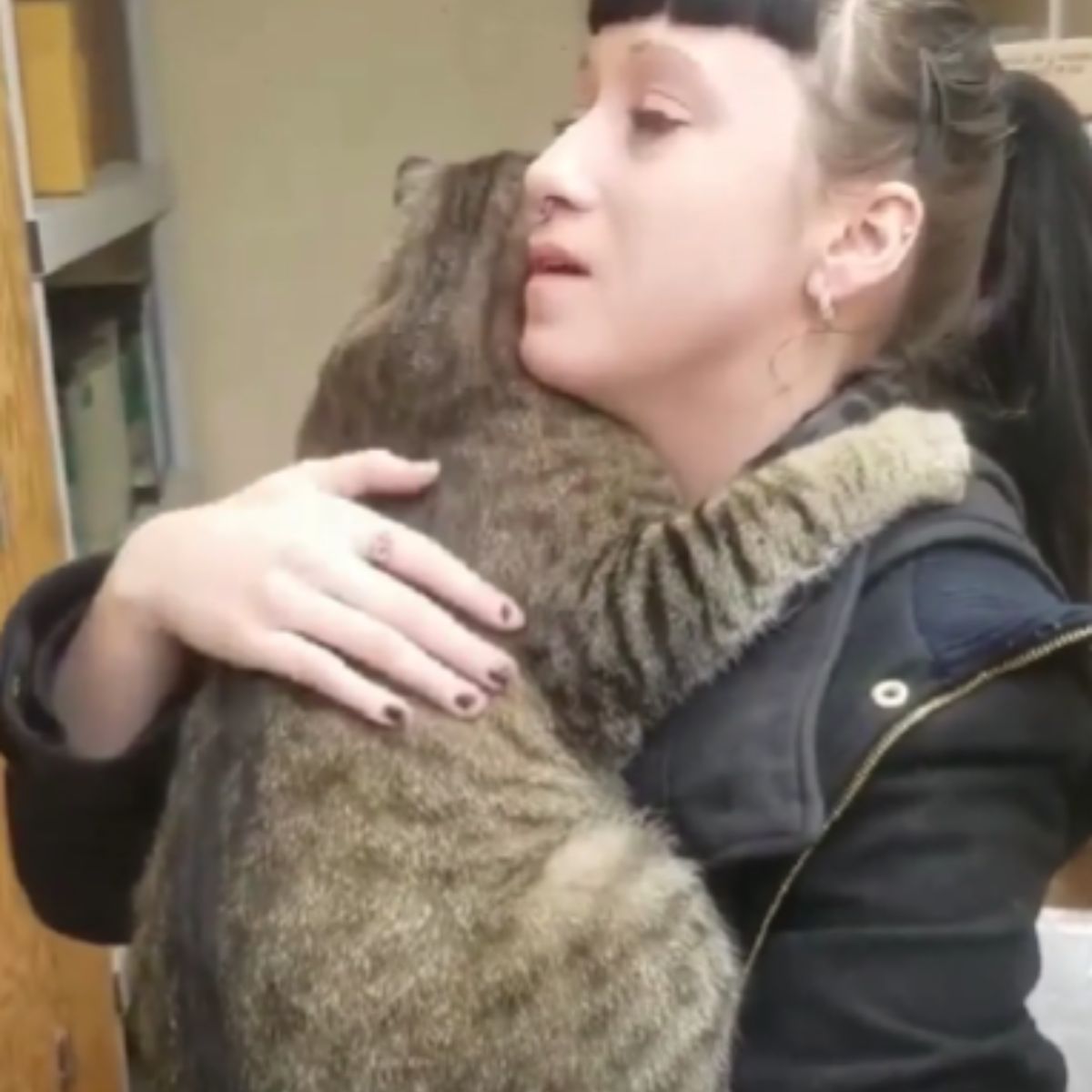 cat hugging the owner