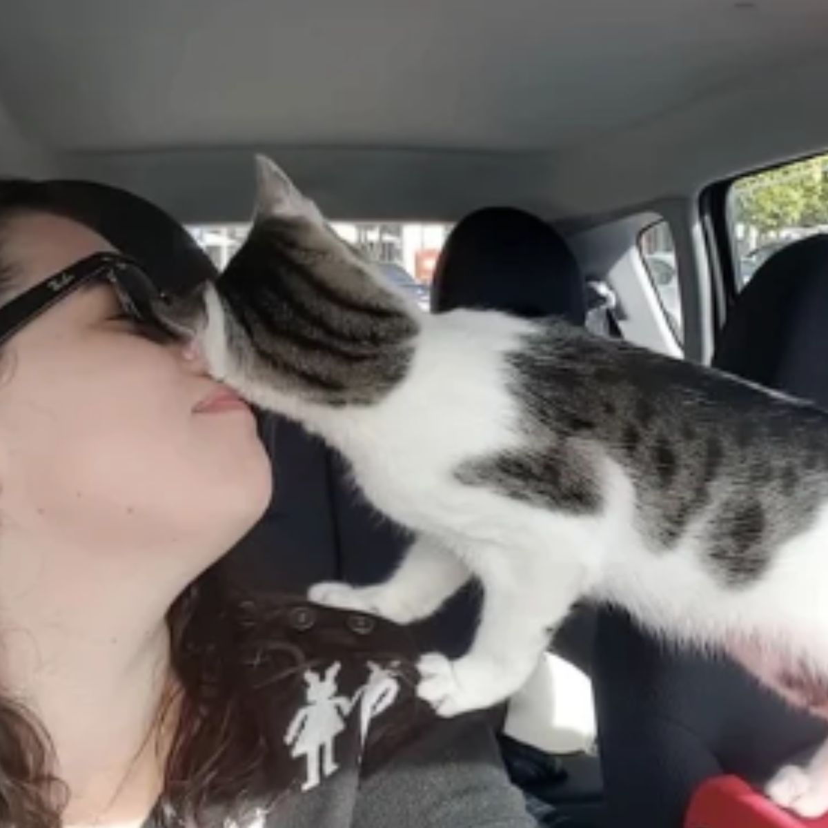 cat licking woman