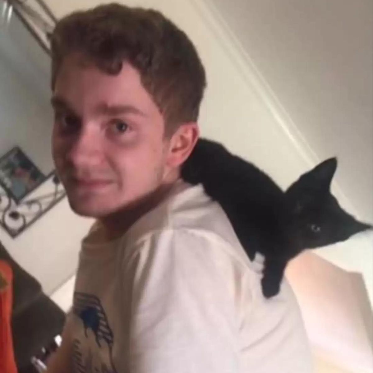 cat on man&rsquo;s back