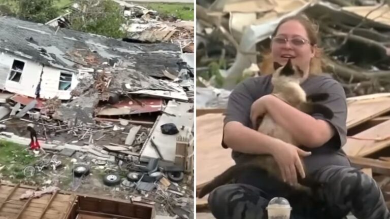 Family’s Cat Goes Missing During A Tornado In Oklahoma, Then Stuns Everyone On Live TV Reunion