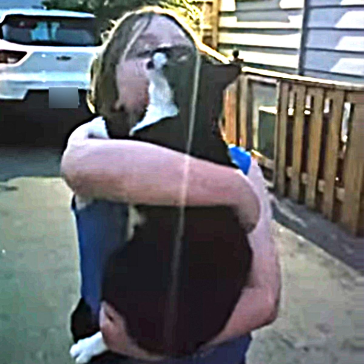 little girl kissing cat in arms