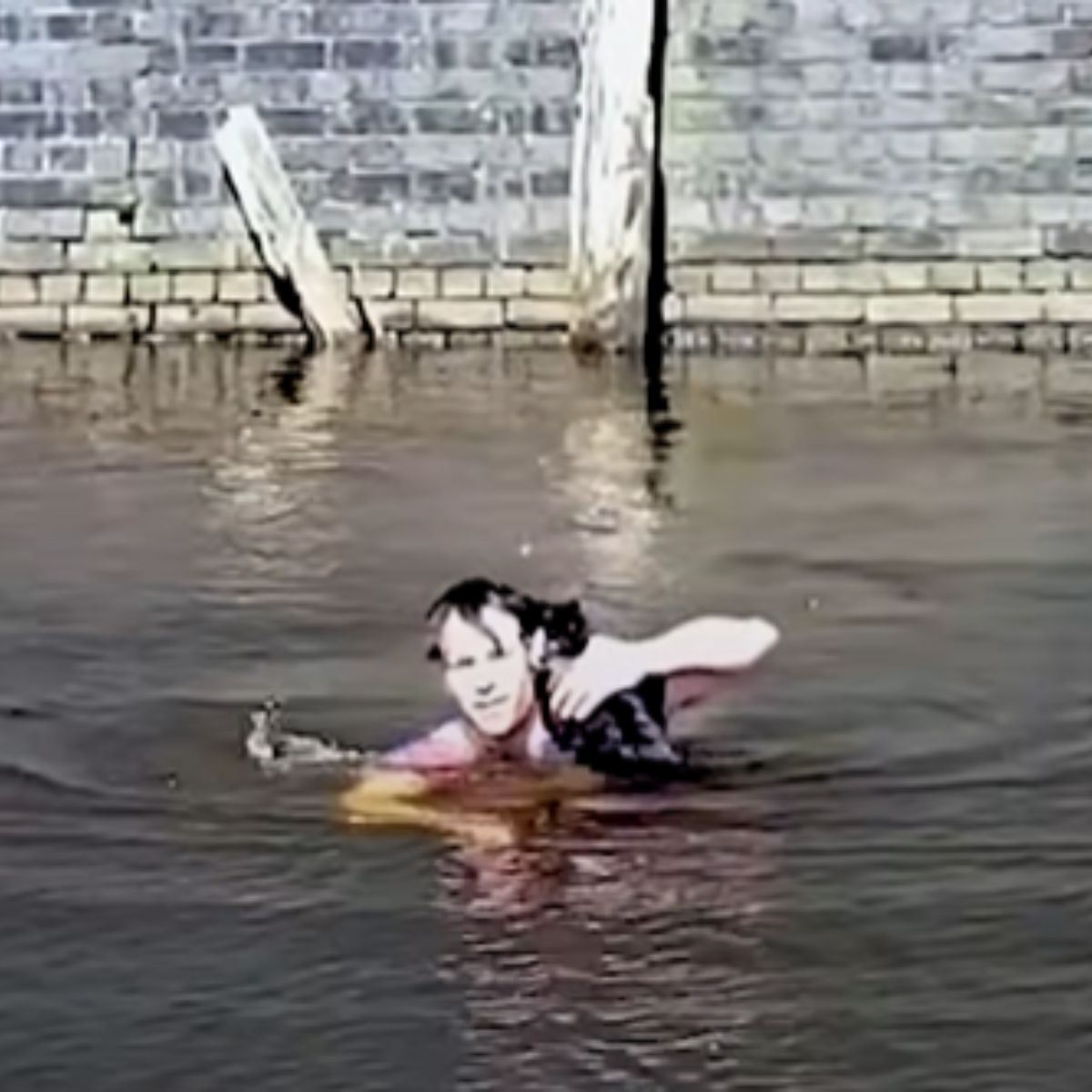 man swimming with cat on his shoulder