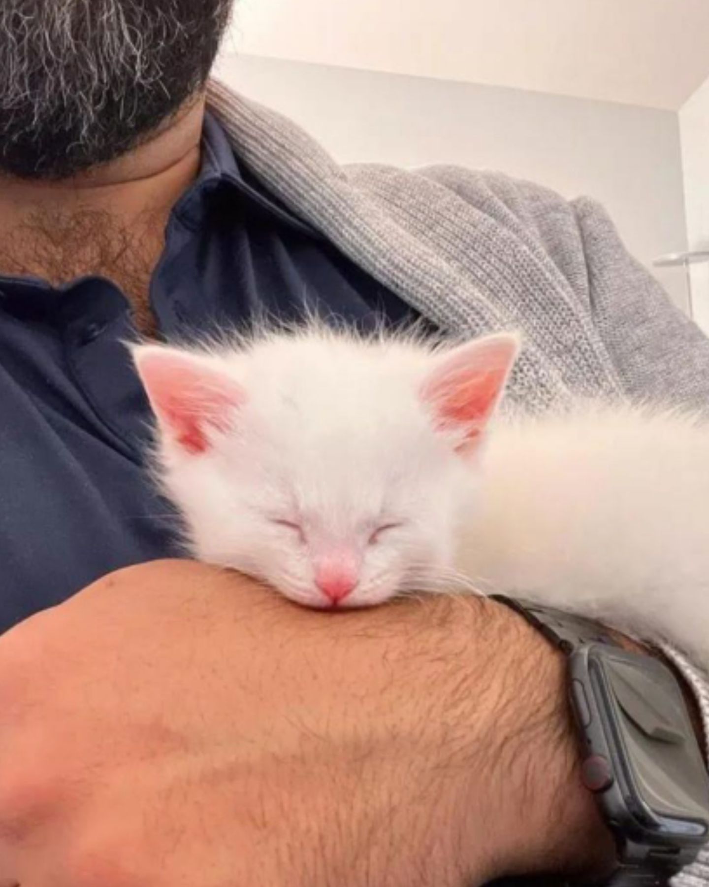 man with beard and kitten