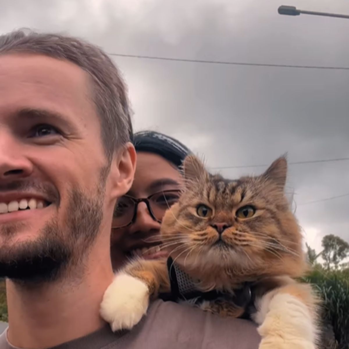 man woman and cat riding a scooter