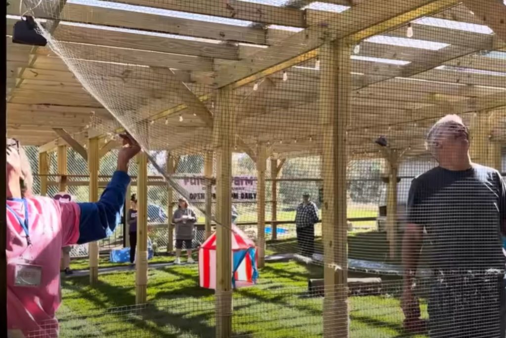 shelter staff in a catio for cats