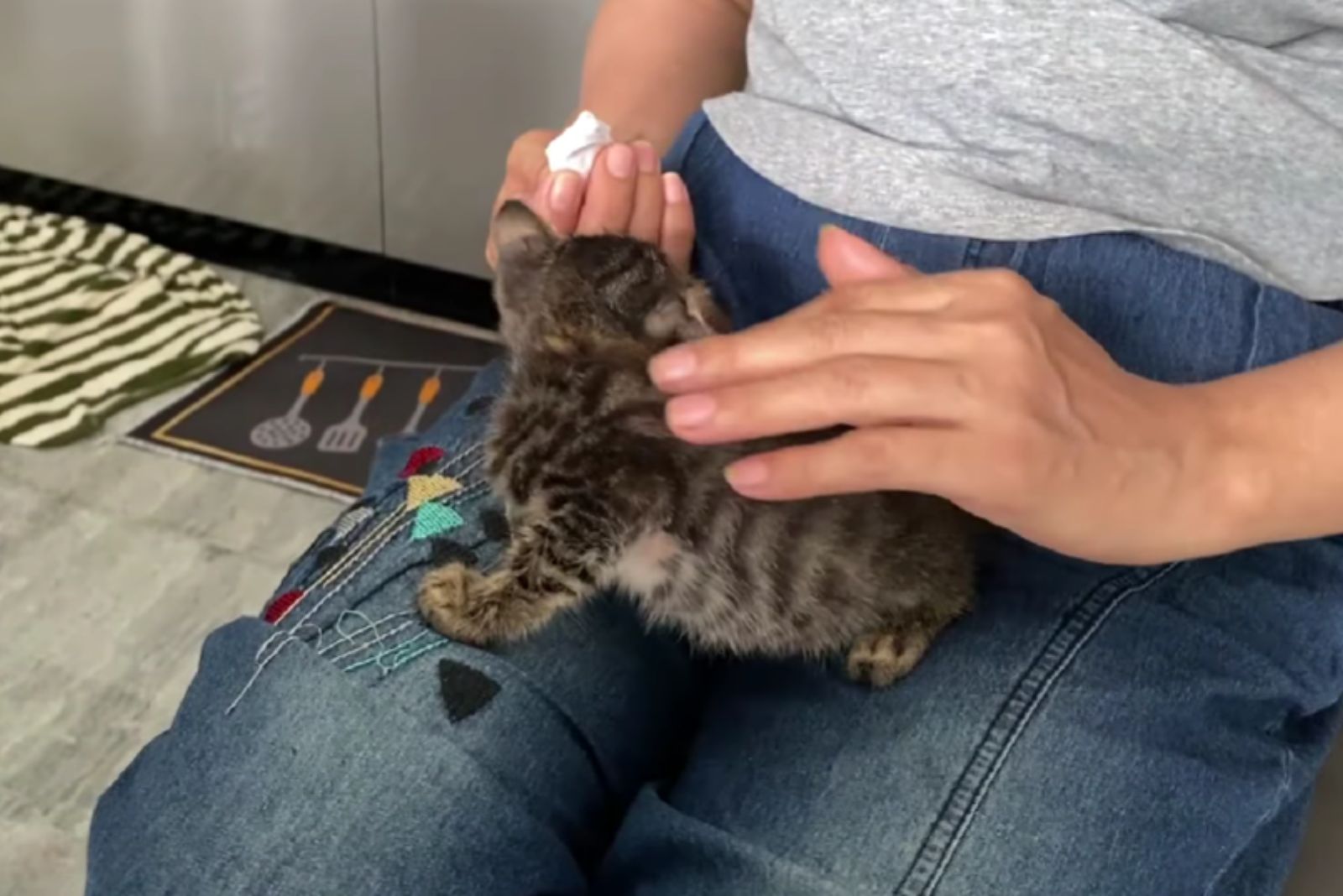 woman cleaning a kitten