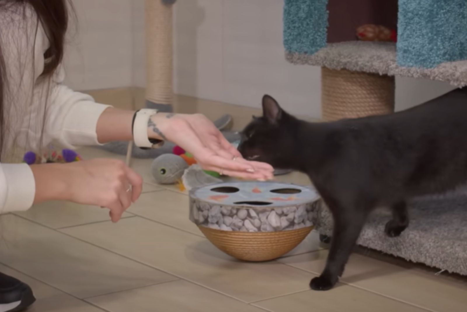 woman feeding cat from hand