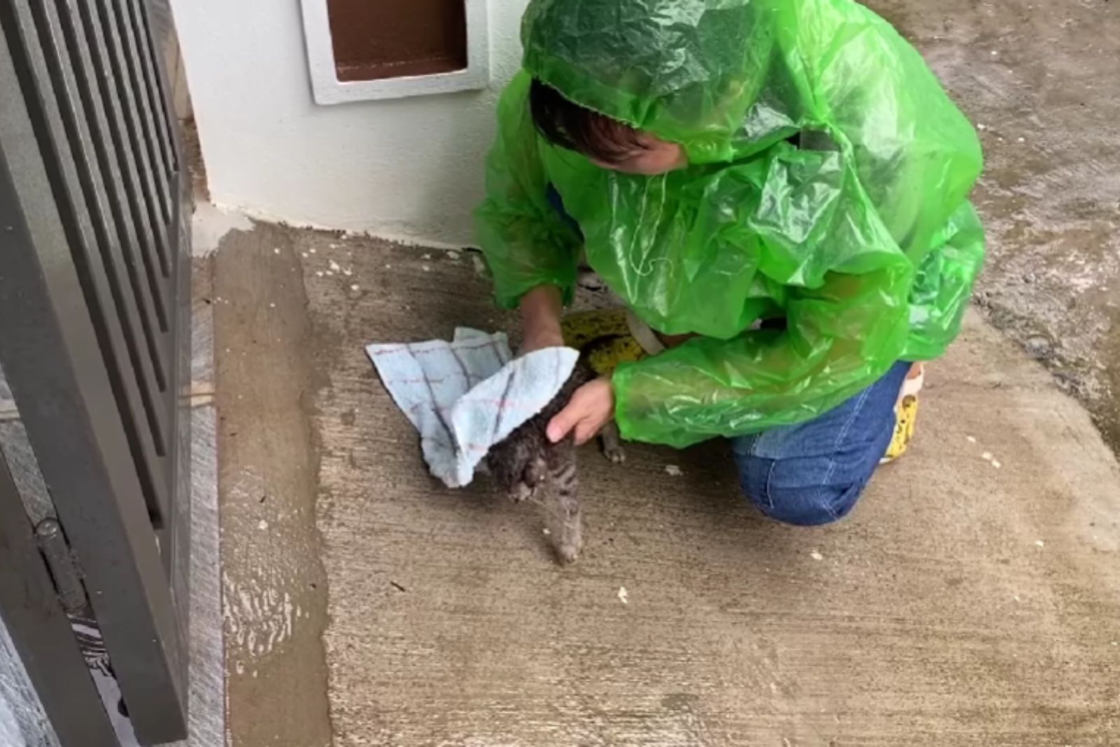 woman helping abandoned kitten