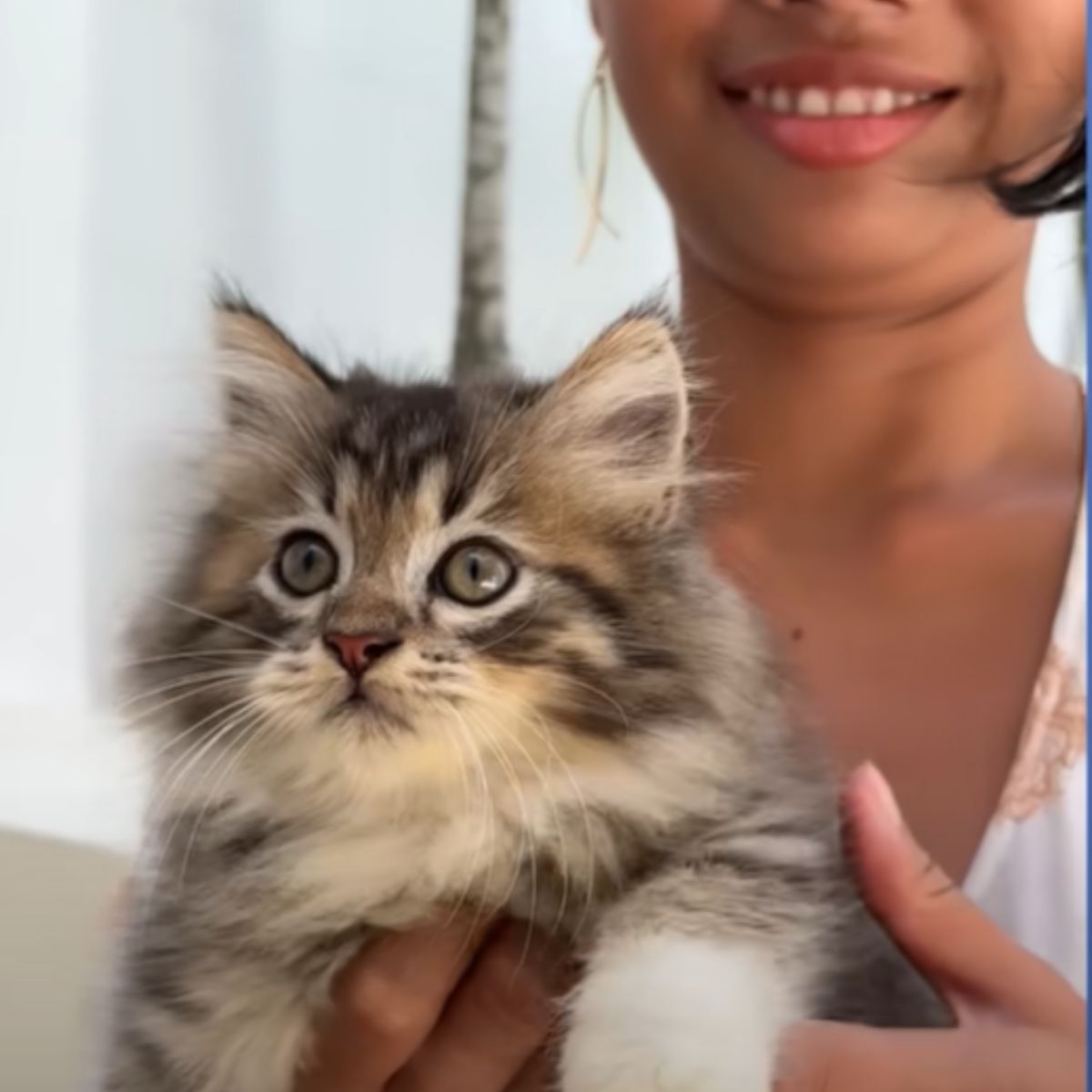 woman holding a cat