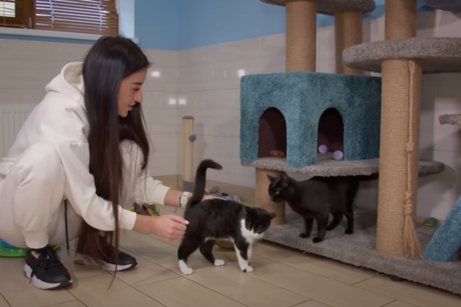 woman playing with two cats