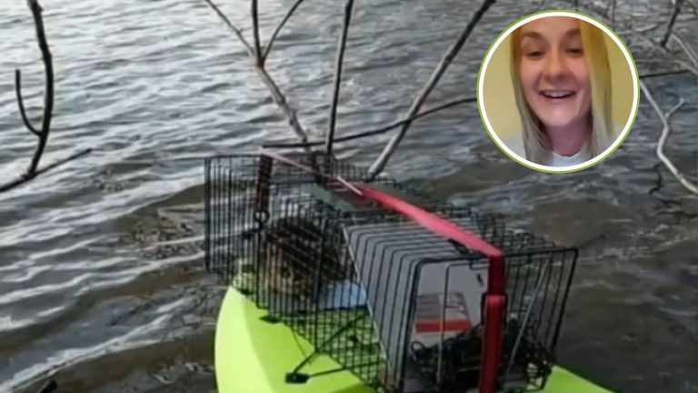 kayaker rescues stranded cat