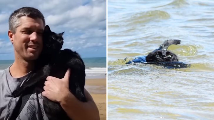 Couple Stunned As Their Cat Takes The Plunge And Discovers Her Passion For Swimming