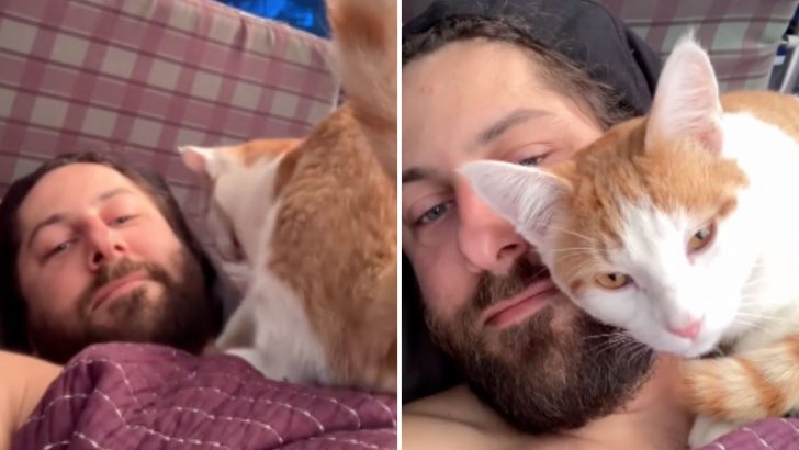 This Stray Cat Wouldn’t Leave A Man’s Side Until He Finally Adopted Him