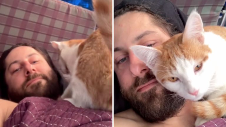 cat lying with a man