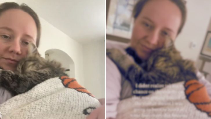 Woman Adopts A Bullied Senior Cat From The Shelter But It Doesn’t Go As She Expected