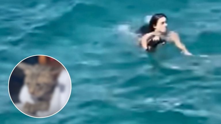 woman rescues a cat in the sea