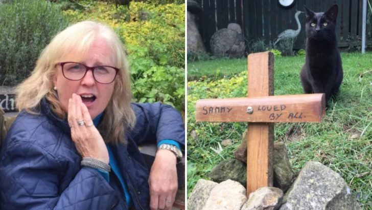 Woman Stunned To See Her Beloved Cat After Thinking She Had Buried Him