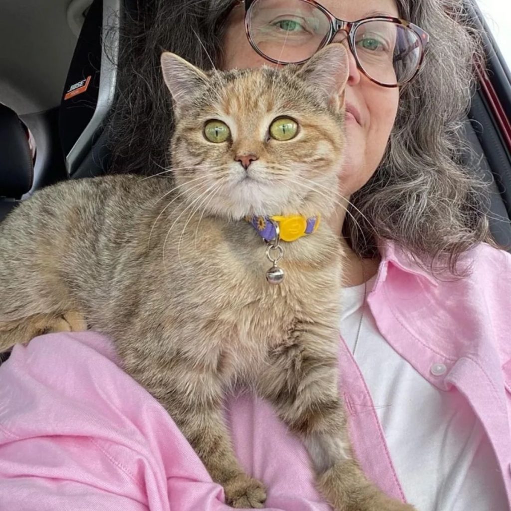 a kitten with green eyes sits on a woman's shoulder