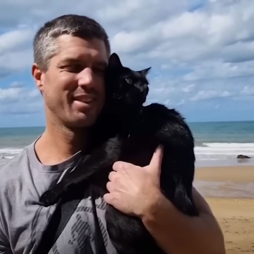 a man holds a cat in his arms on the beach